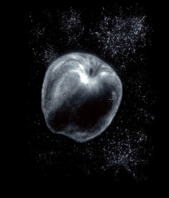 金井一郎 翳り絵展 -『銀河鉄道の夜』を巡る旅 - 」 （武蔵野市立