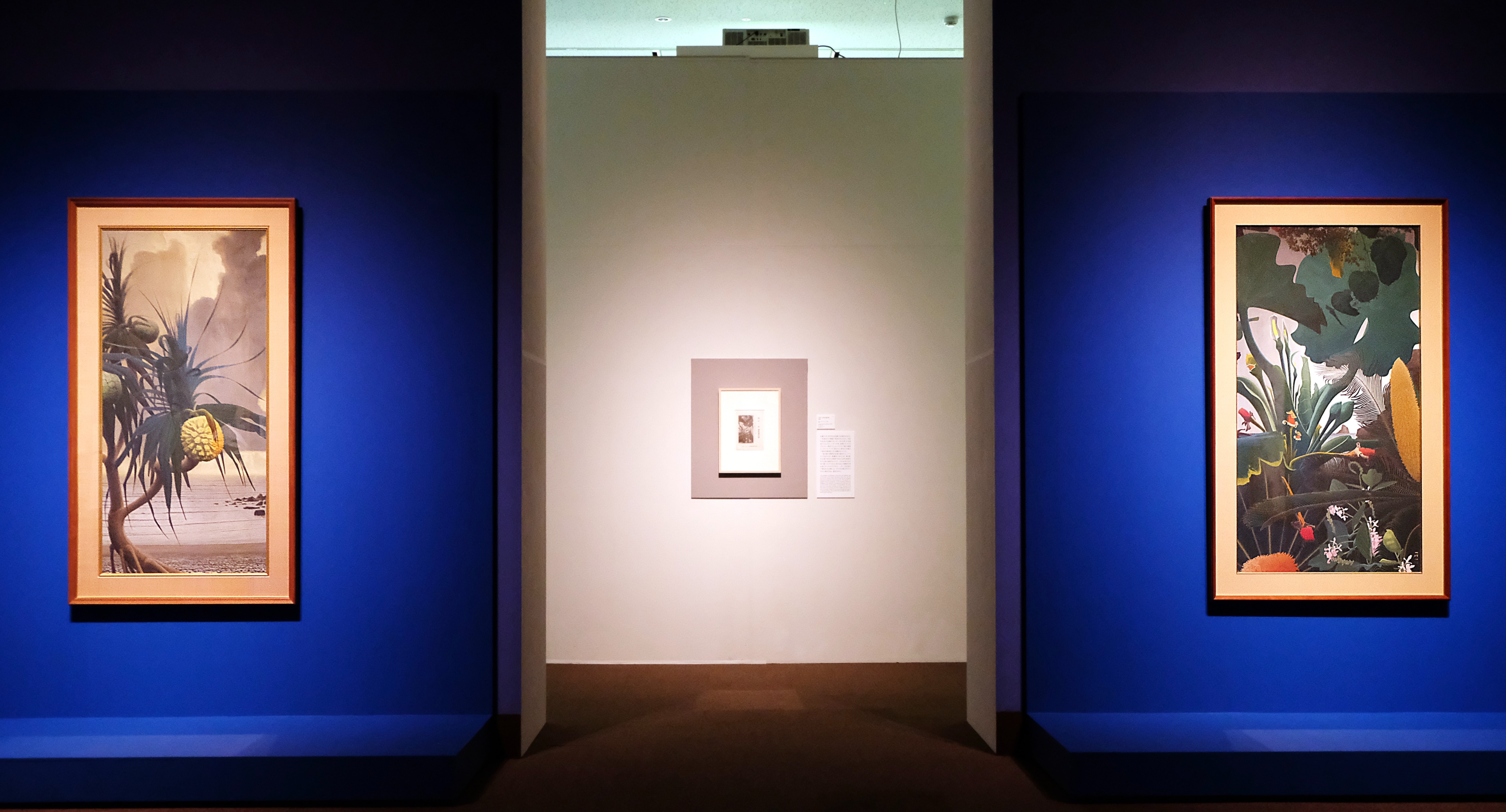 田中一村展 奄美の光 魂の絵画」（東京都美術館）レポート。死後に評価