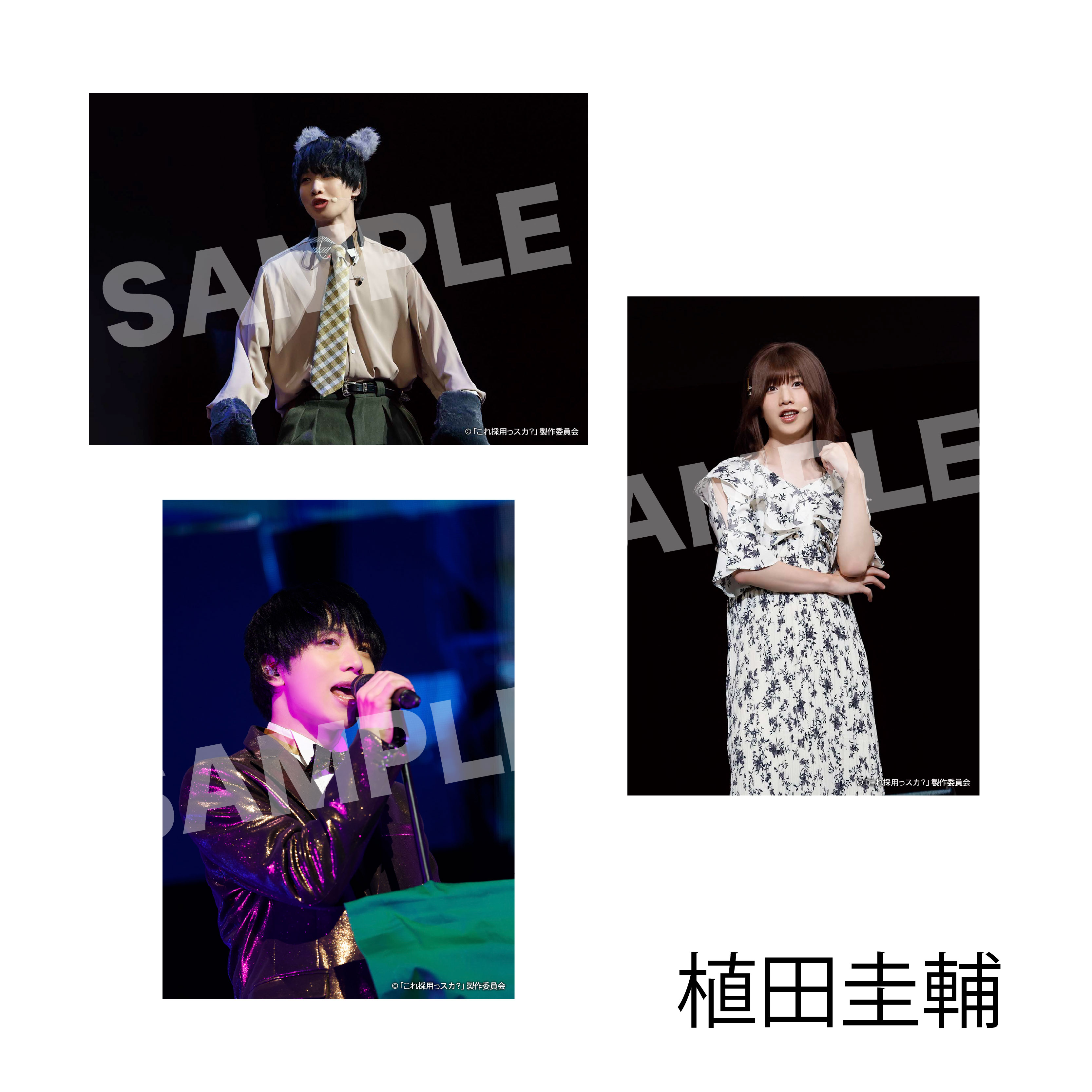 企画プレゼンバラエティ?「これ採用っスカ？」ソロブロマイドセット