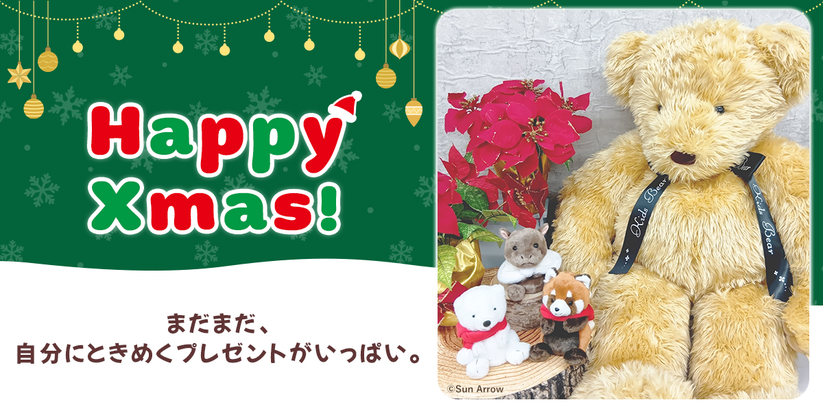Sun Arrow Xmas