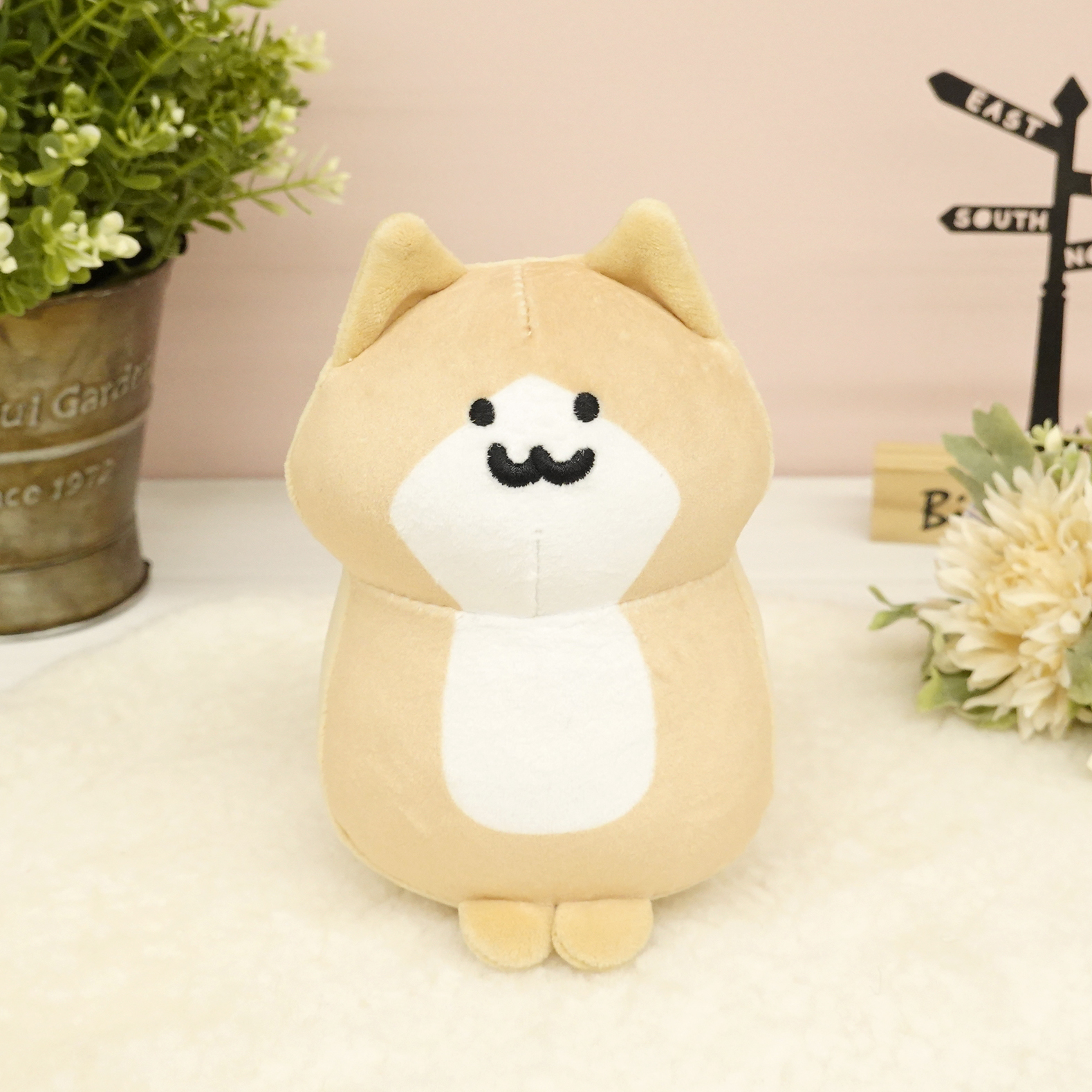 子猫さん M【サン・アロー公式オンラインショップ】