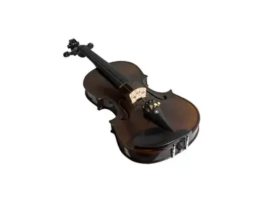 ESP Kranz EV-75 Violin Sugizo Signature - What To Know & Where To