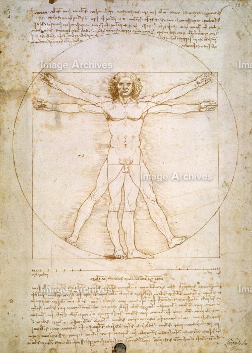 作品詳細 | ウィトルウィウス的人体図 | イメージアーカイブ - DNP