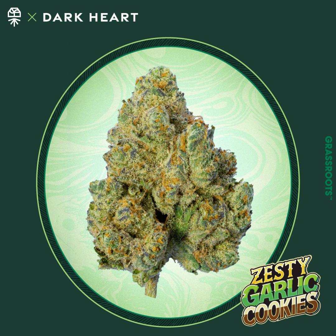 Dark Heart Collection Zesty Garlic Cookies Whole Flower 3.5g