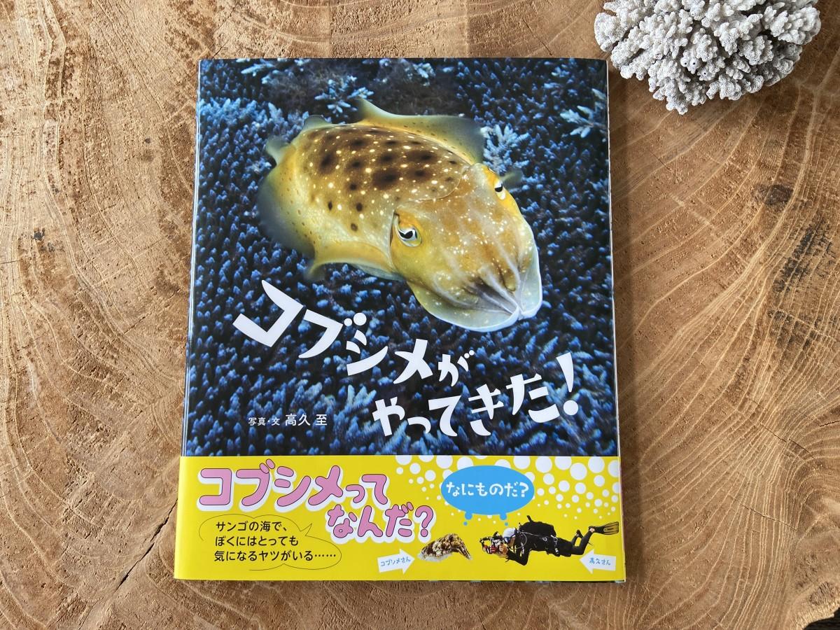 屋久島在住の水中写真家の写真絵本 海の生物の不思議な生態伝える