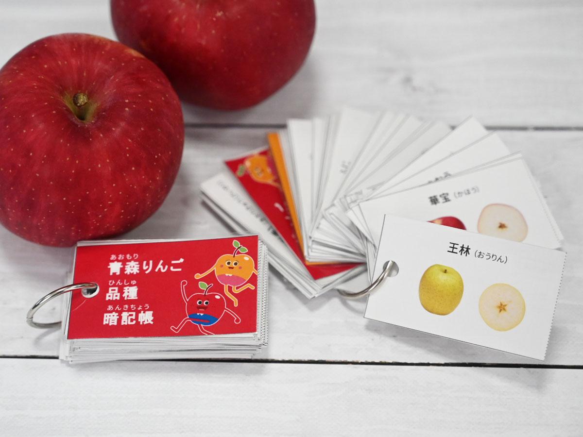 県りんご対策協議会が「青森りんご品種暗記帳」公開 断面図や交配親