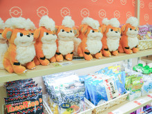 ポケモン 物産展 ガーディ ローカルActs ポケモン 物産展 ローカル