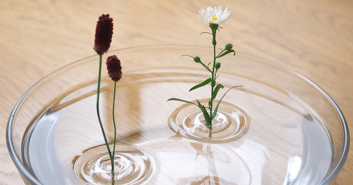 LEXUS - 記事 | LEXUS NEWS