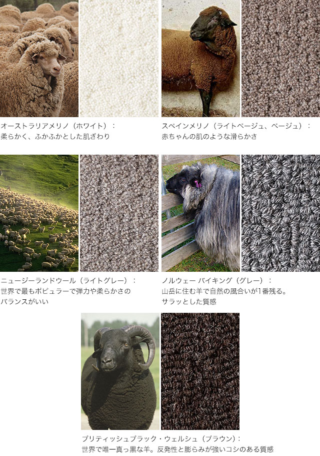 COURT LOCAL WOOLEN ウールラグ 楕円 235×165cm【ノベルティ対象外