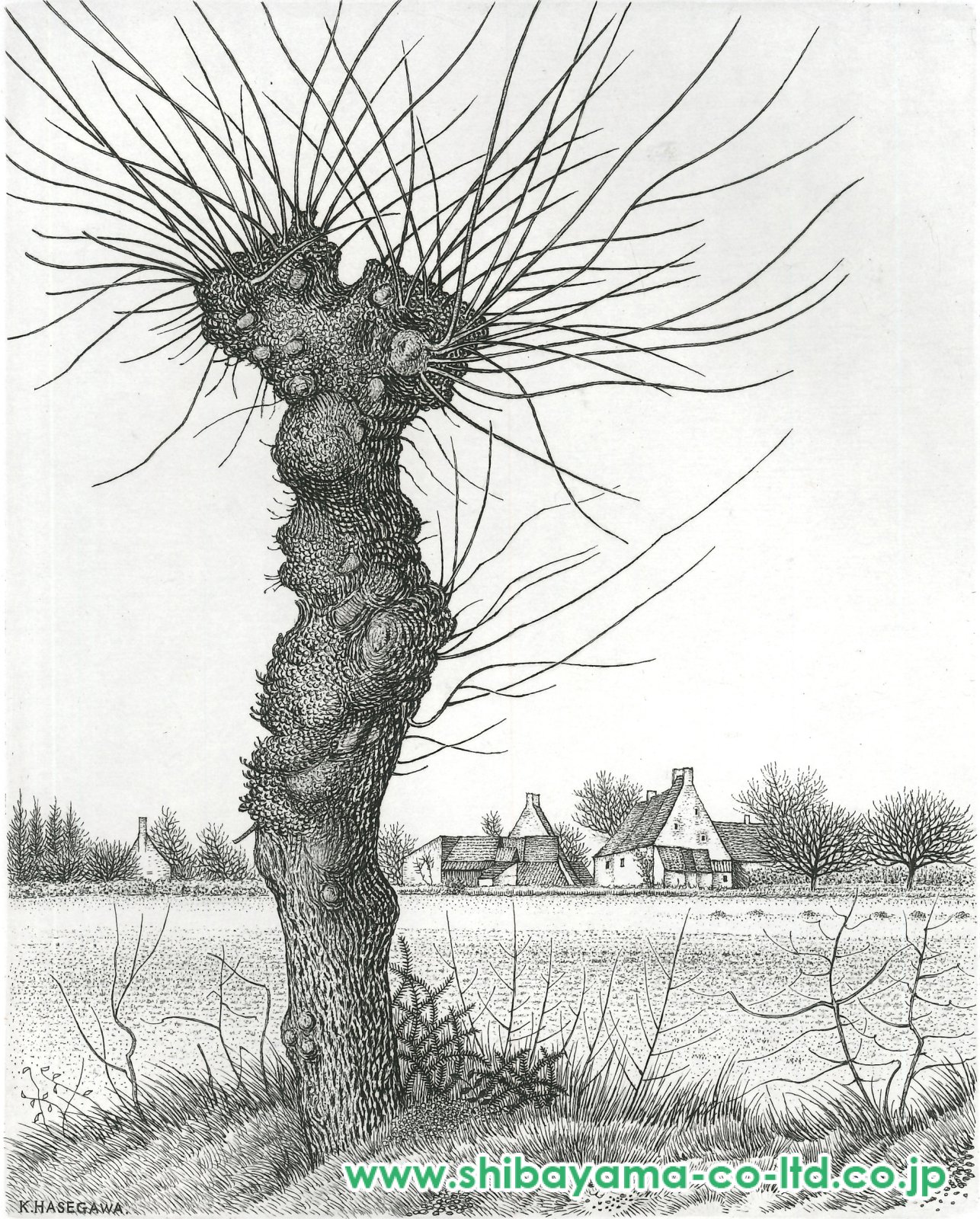 長谷川潔「長谷川潔の肖像より『ニレの老樹』」エッチング :: 絵画買取