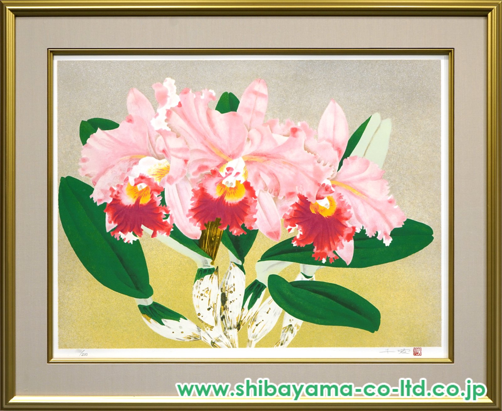 中島千波「カトレア・ピンク」リトグラフ :: 絵画買取・販売 - シバヤマ