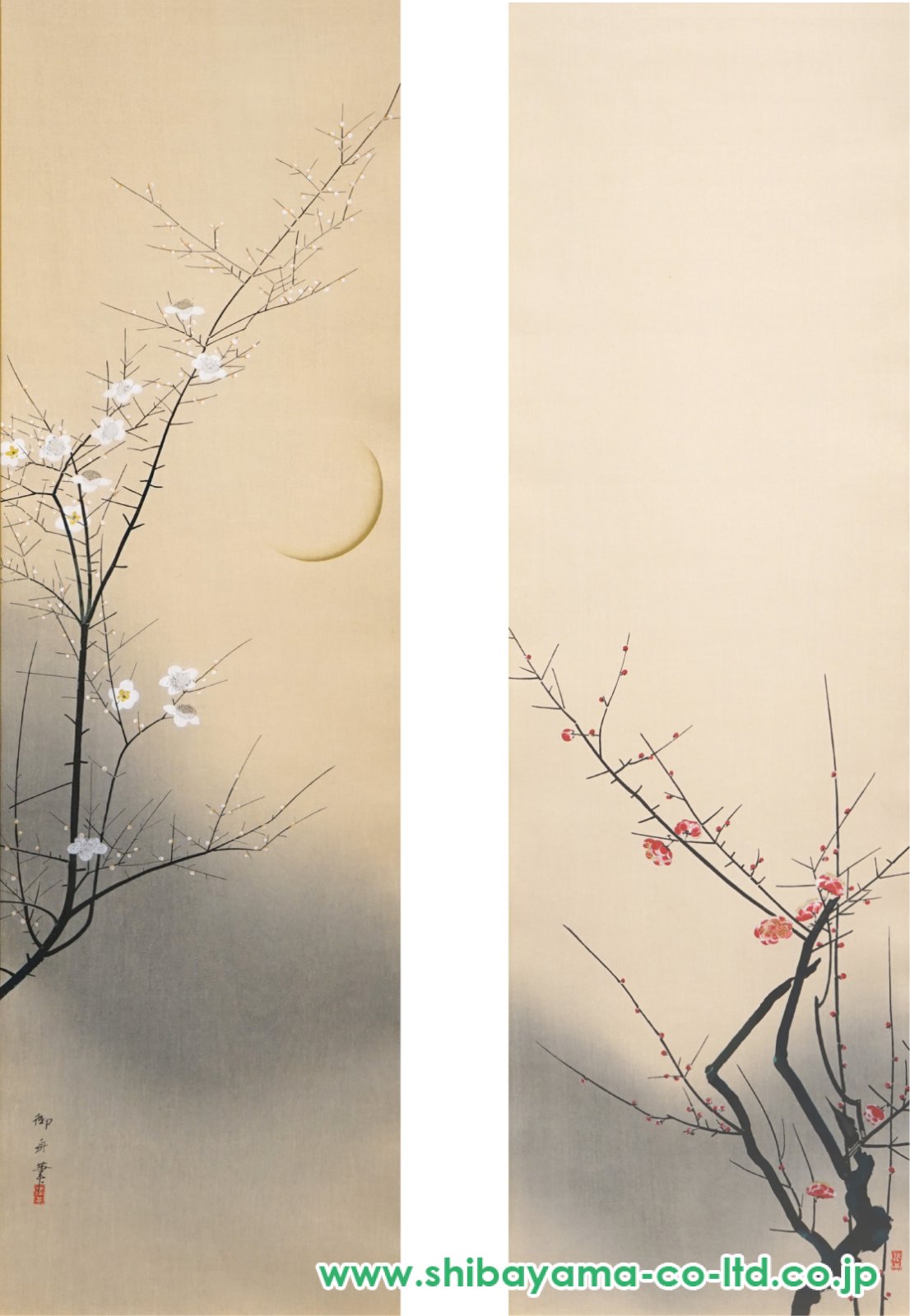 5508_8c0a2603c0bc768419e88b37b