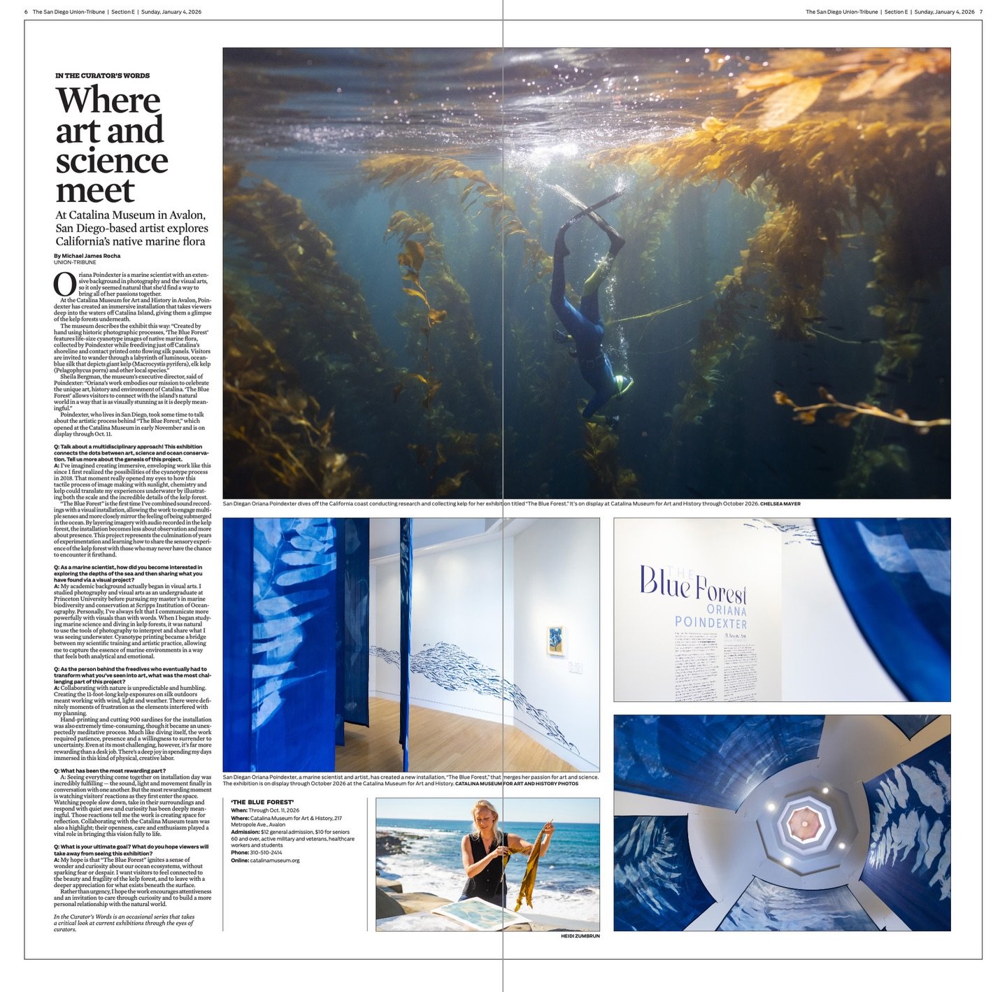 Algal Cyanotype Greeting Card Set — Oriana Poindexter