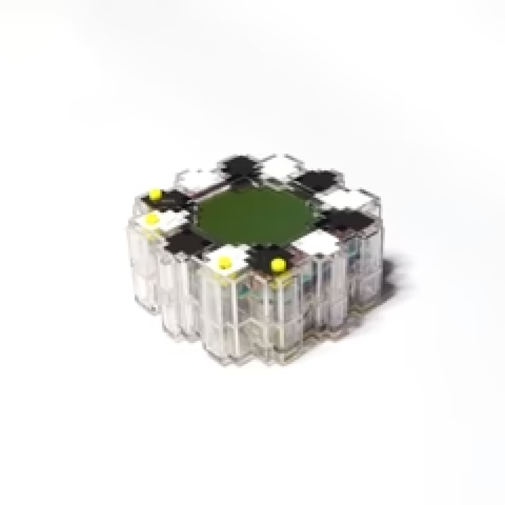 村上隆 FLOWER GO WALK 2023 - Loong Wah Motors Group Limited