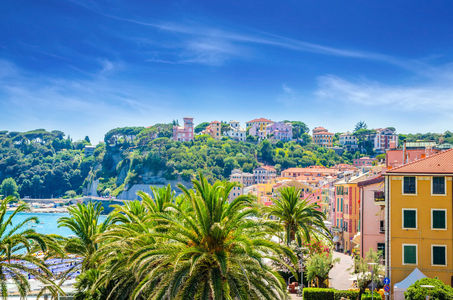 Visit Savona Italy ⭐️ Dive Into Your 2026 Guide