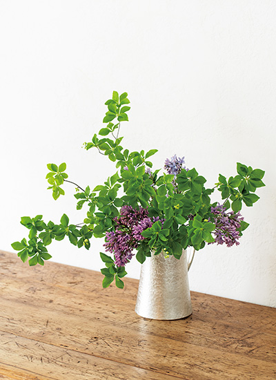 暮らしに錫（すず）を。モダンなピッチャー花器なら誰でも美しく生けられる