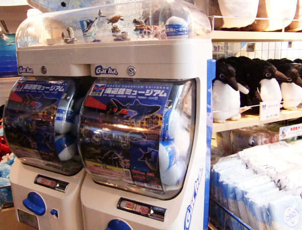 海遊館にあります海遊館ミュージアム限定ガチャガチャです。 | お宝