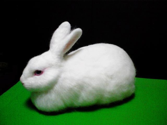 羊毛フェルト白うさぎ 日本白色種 | 猫人形の部屋 隻眼の猫