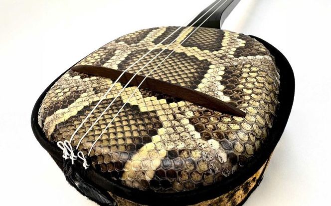 池武当新垣三線店 本蛇皮強化張り三線初心者セット 三線 さんしん