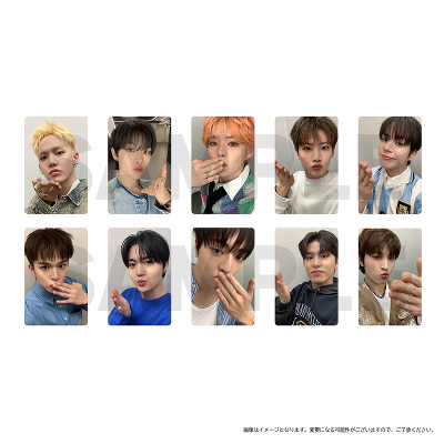 トレーディングカードC（ランダム全10種）｜TREASURE｜mu-moショップ