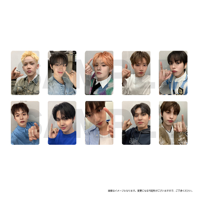 トレーディングカードD（ランダム全10種）｜TREASURE｜mu-moショップ