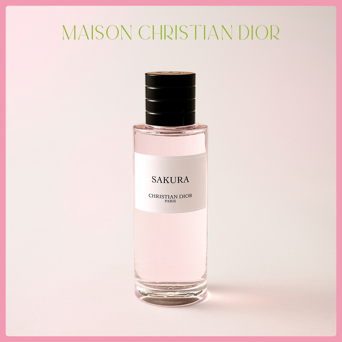 桜に香りはないって本当？ 【DIOR】など、桜の香水がつくられる秘密