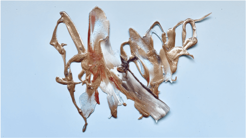 KATE | KATE UPCYCLE PROJECT Re:SHINE