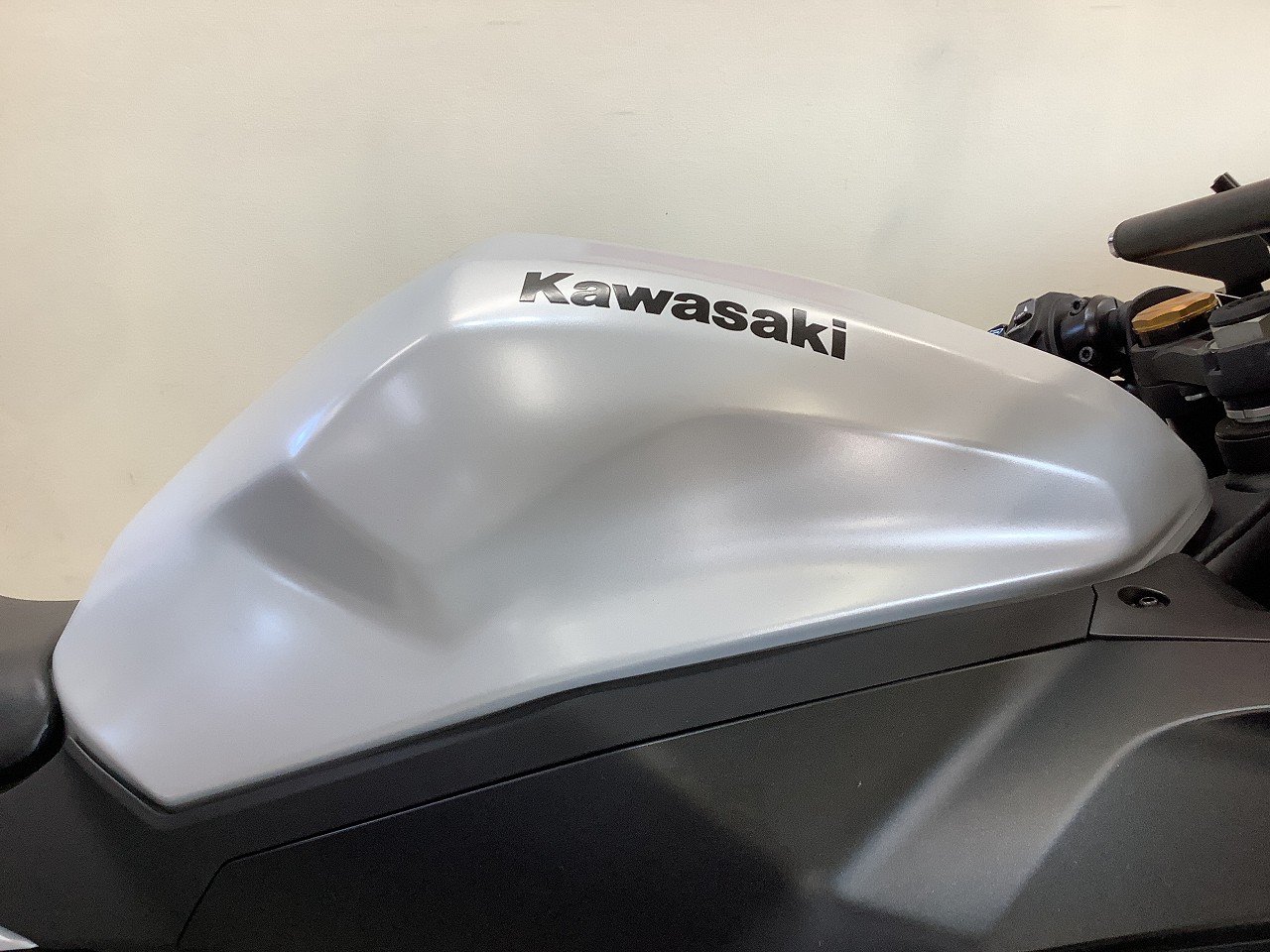 24532372.jpg?resize=600,450,ffffff