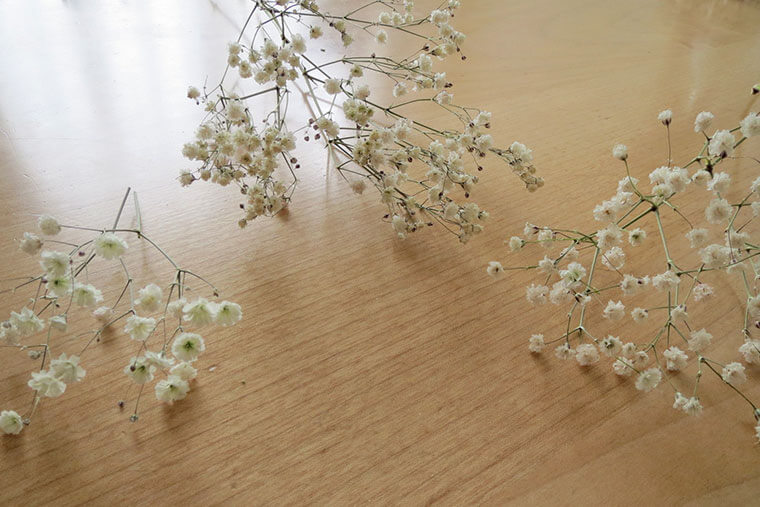 かすみ草をドライフラワーにする方法。コツやアレンジ例も紹介