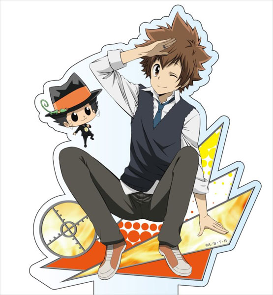 家庭教師ヒットマンREBORN！ 描き下ろし沢田綱吉+リボーンセット BIG