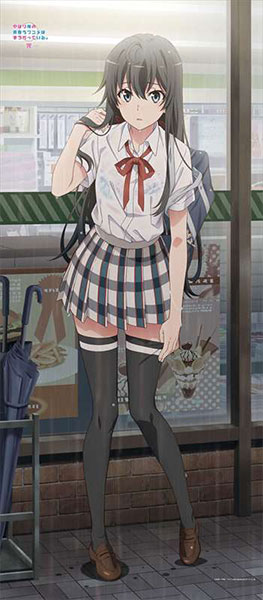 やはり俺の青春ラブコメはまちがっている。完 描き下ろし BIG