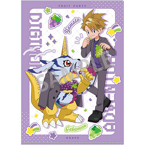 デジモンアドベンチャー A4シングルクリアファイル 八神太一＆アグモン