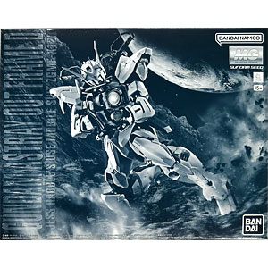 ポケモンスケールワールド ガラル地方 ビート＆ミブリム＆テブリム