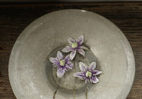 主役じゃなくても、いつもそばにいる花。写真と文：齋藤拓磨 (花屋