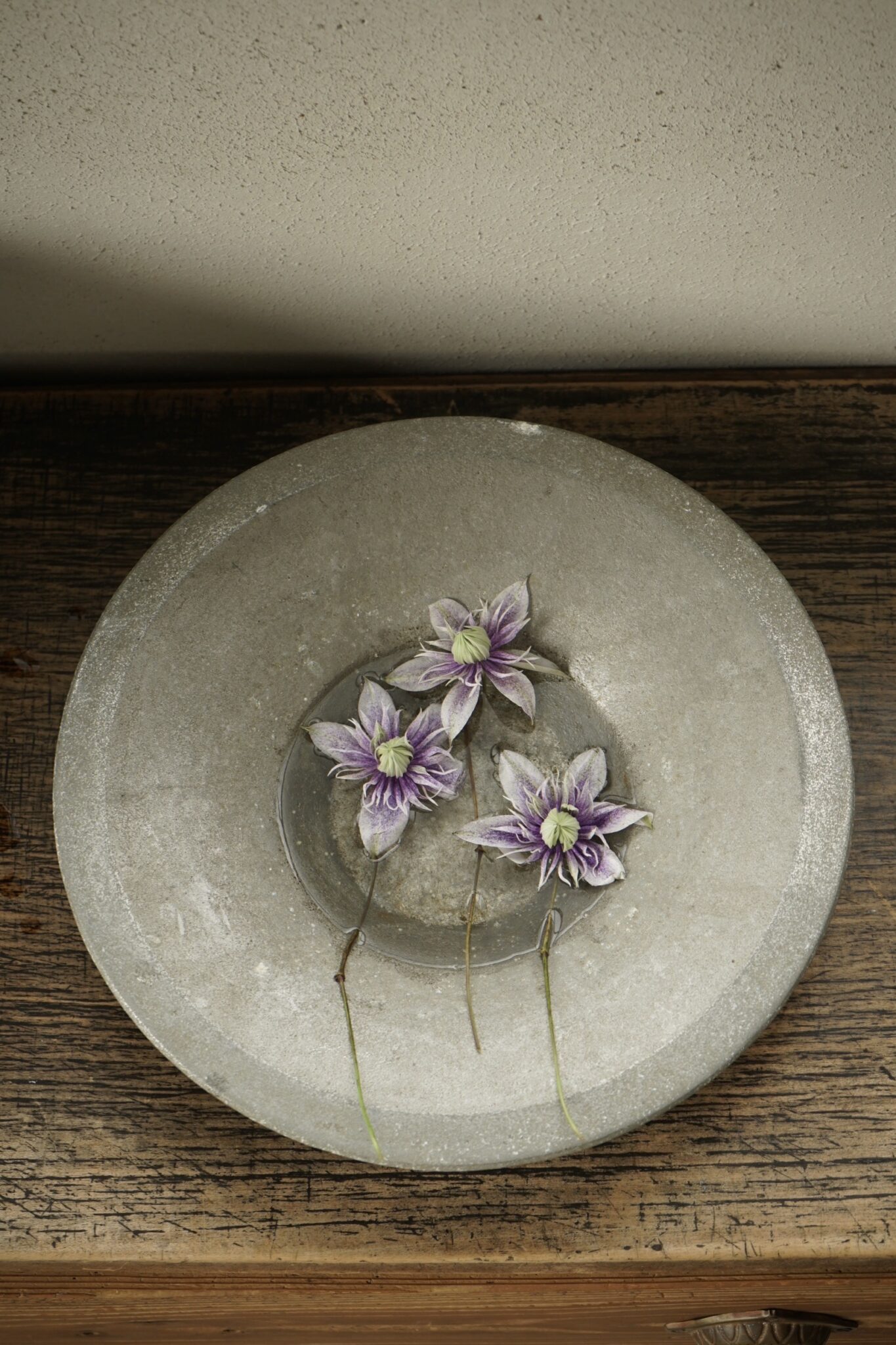 主役じゃなくても、いつもそばにいる花。写真と文：齋藤拓磨 (花屋