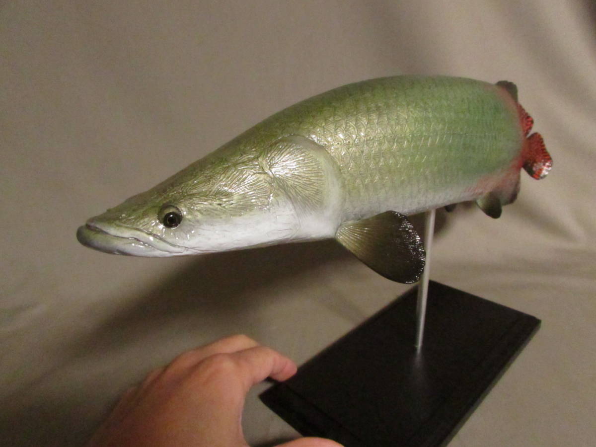 新品】○ハンドメイド 手作り 39cmピラルク 魚模型 フィギュア