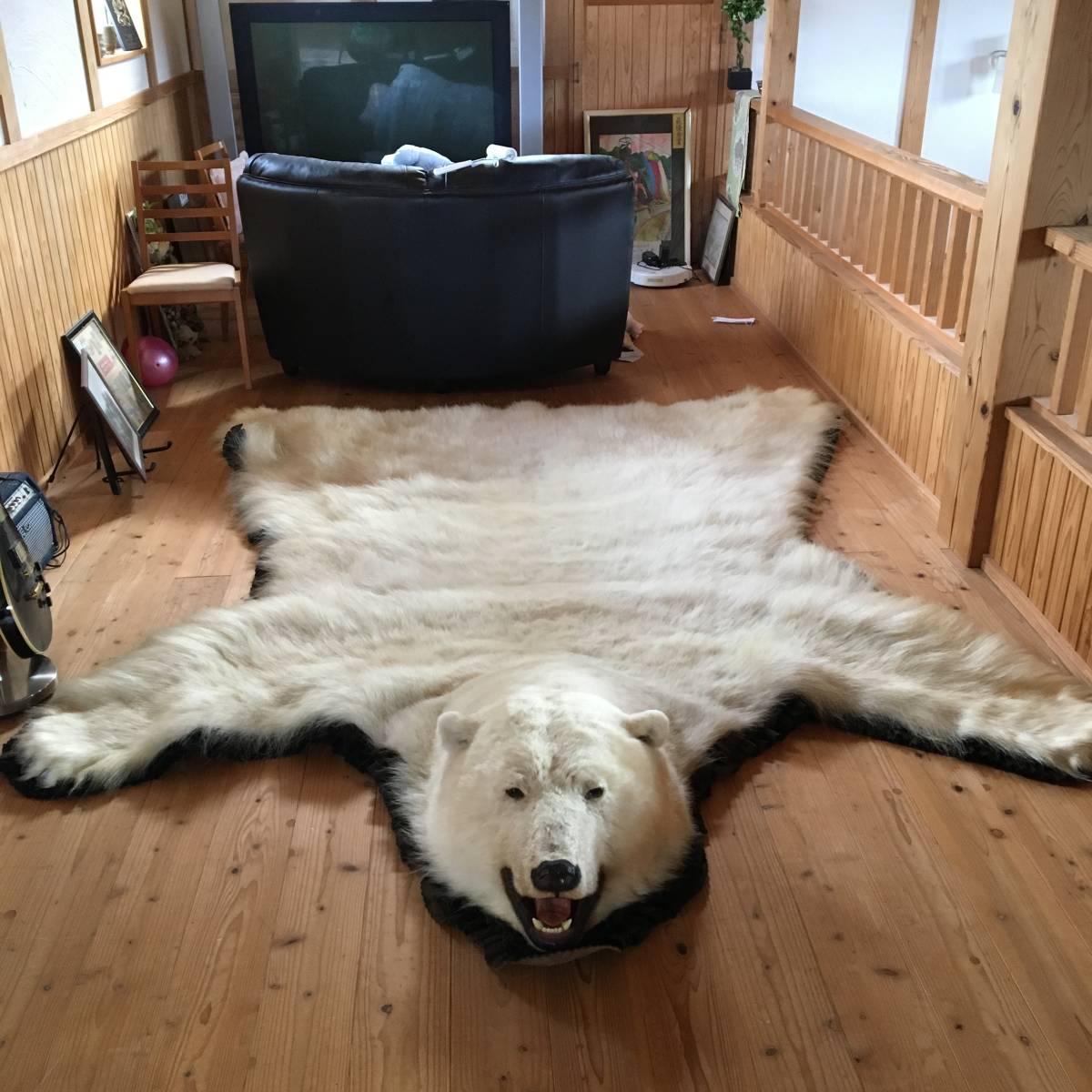 ヒグマ 熊 黒毛 剥製 毛皮 絨毯 AR1207 熊 毛皮 絨毯 剥製 ラグ マット