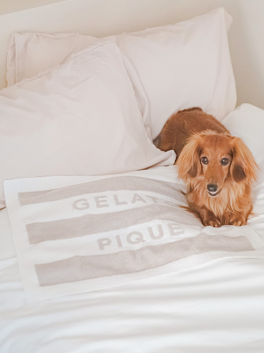 CAT&DOG】スムーズィー2ボーダーブランケット(グッズ)｜ルームウェア