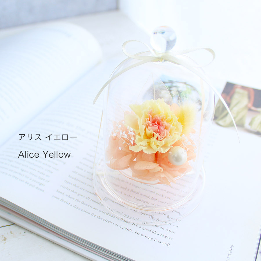 ラフレ カーネーション プリザーブドフラワー ガラスドーム 11時まで