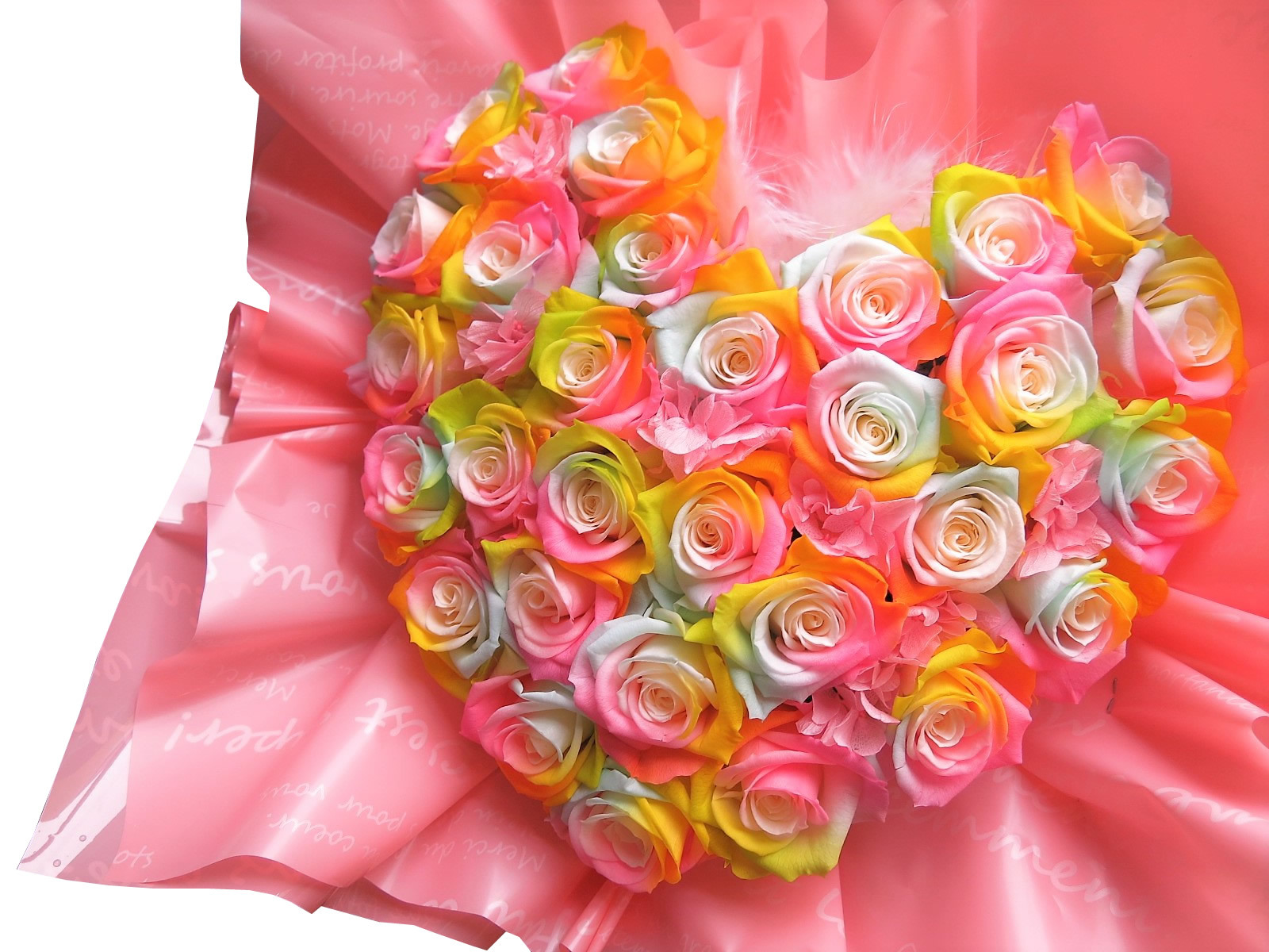 レインボーローズ プリザーブドフラワー カラフル レインボーローズ