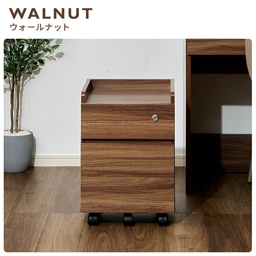 収納家具 デスクキャビネット CABINET キャビネット FJ-029-IRデスク脇