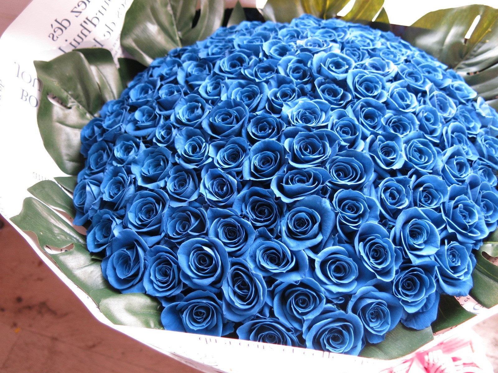 誕生日プレゼント 青バラ 花束 プリザーブドフラワー 大輪系青バラ100