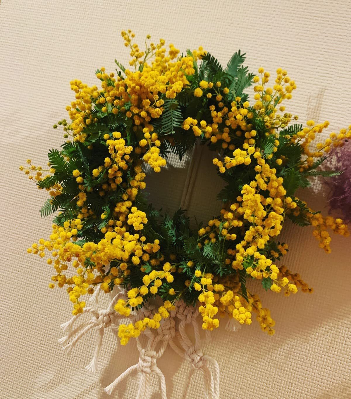 ドライフラワー ミモザリース ナチュラルリース サイズ:約φ15cm×約5cm