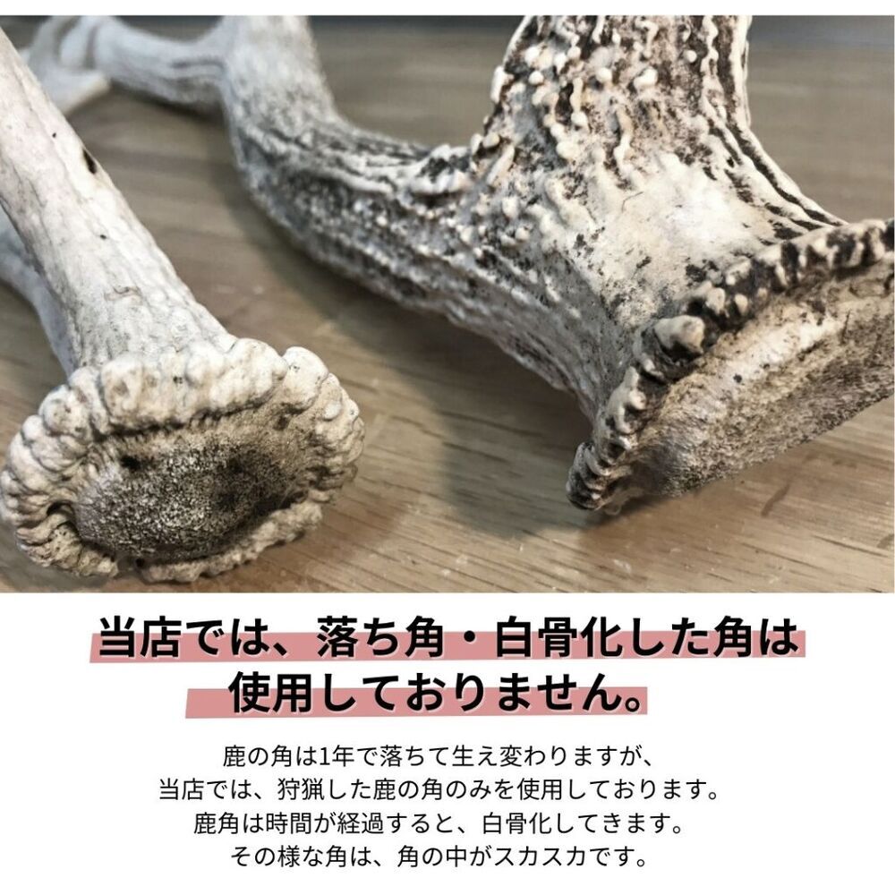 無添加品】鹿の角 四つ割り 4本☆ 北海道 犬のおやつ 蝦夷鹿 鹿角 鹿の