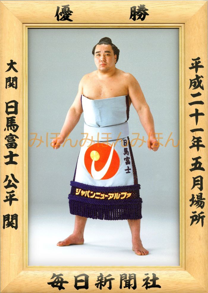 日馬富士公平関 優勝ミニ額 大相撲ミニ額 大相撲優勝額 平成21年5月