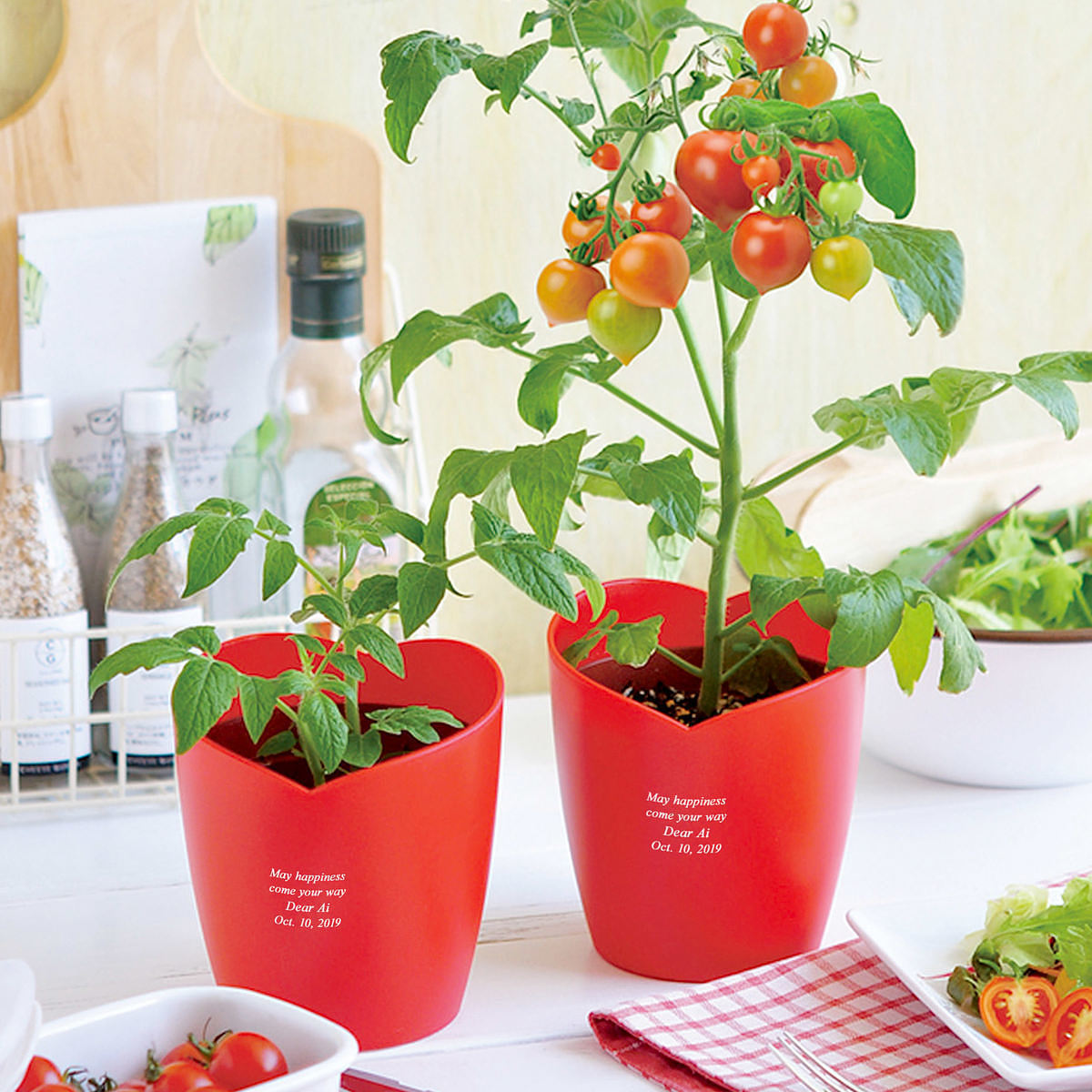 ハートポット栽培キット ミニトマト - 【スマートギフト】- プレゼント