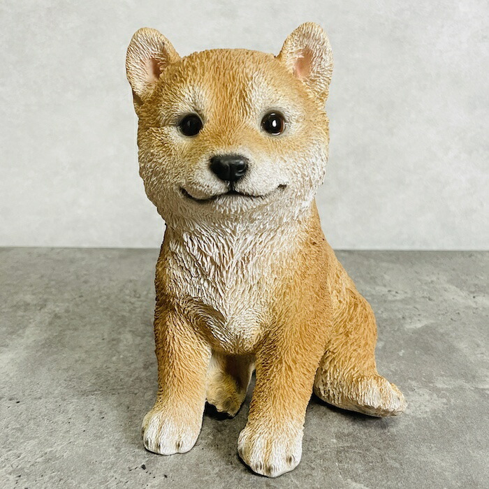 かわいい 柴犬 犬 置物 玄関 動物 おしゃれ トイレ 贈り物 可愛い