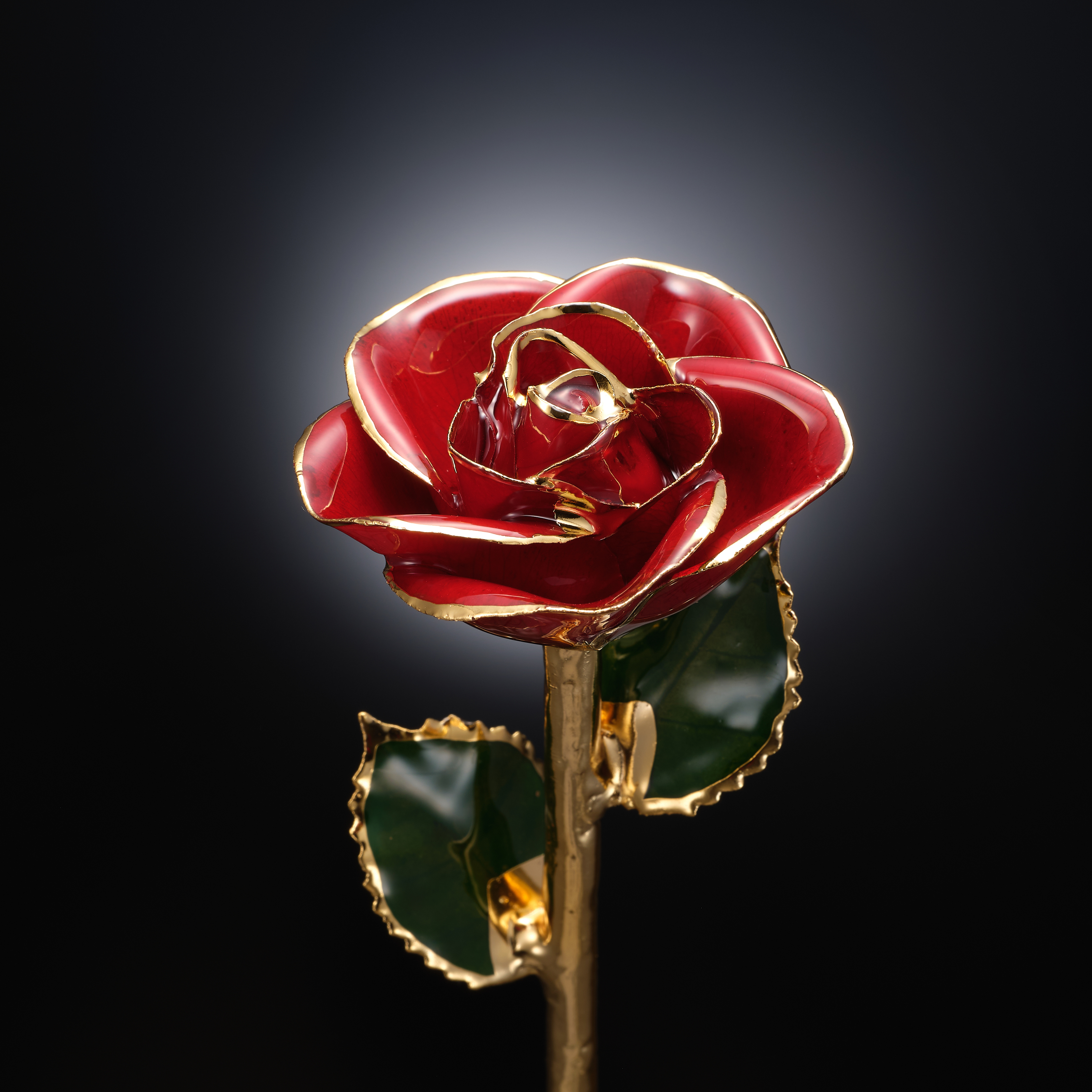 最高級のギフト～本物の薔薇と24金～レッドローズ～ - 【Gold