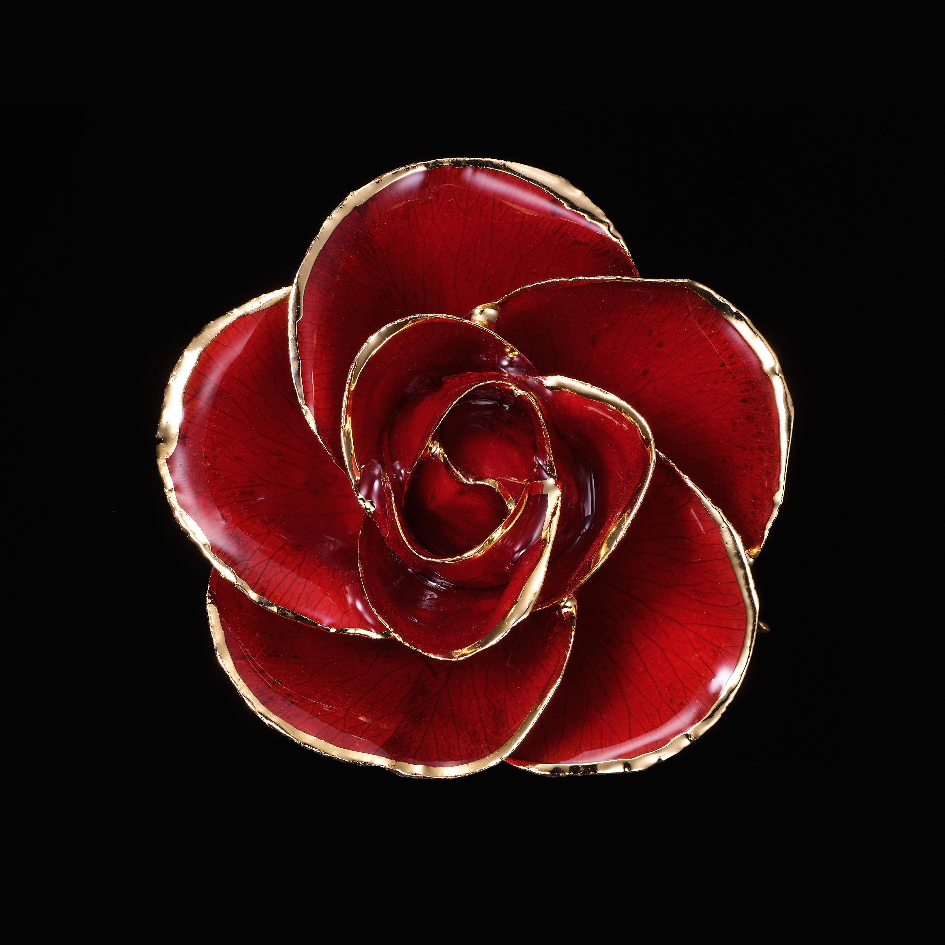 最高級のギフト～本物の薔薇と24金～レッドローズ～ - 【Gold