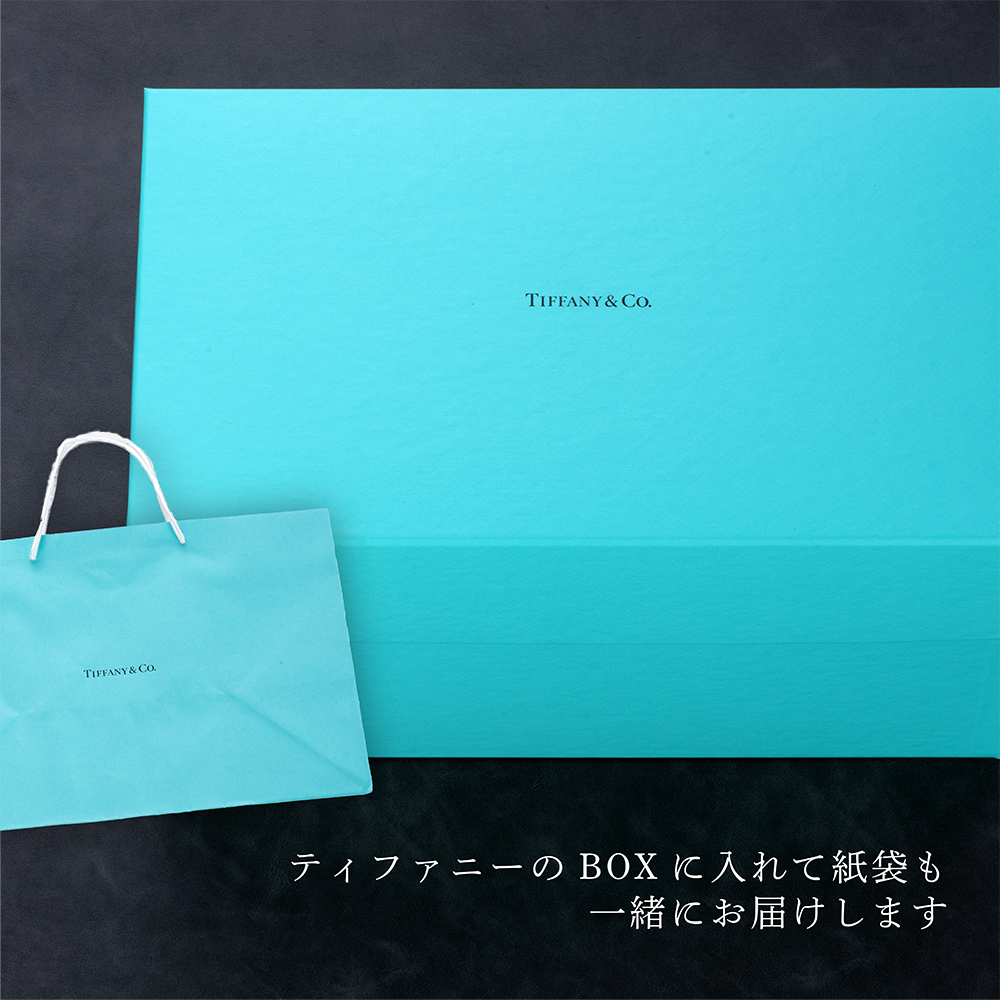 TIFFANY / ティファニー カラーブロック デザートプレート 21cm ペア